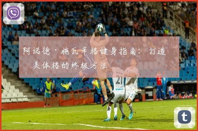 阿诺德·施瓦辛格健身指南：打造完美体格的终极方法