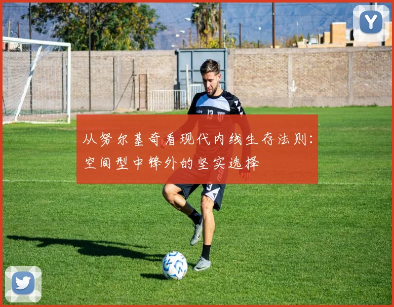 从努尔基奇看现代内线生存法则:空间型中锋外的坚实选择