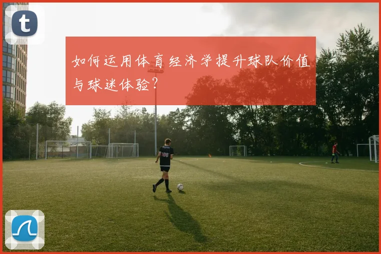 如何运用体育经济学提升球队价值与球迷体验？